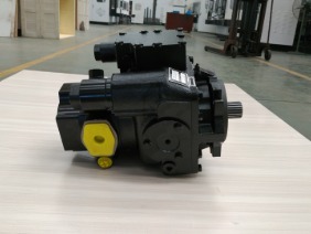 Axial piston pump motor