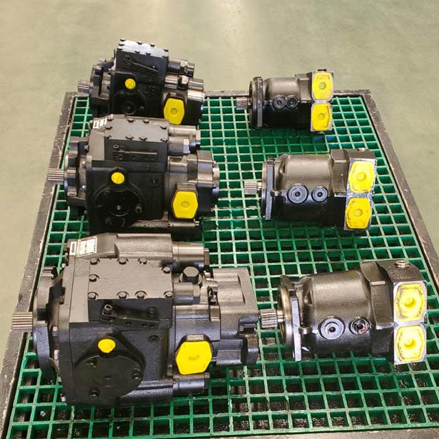 Hydraulic plunger pump motor