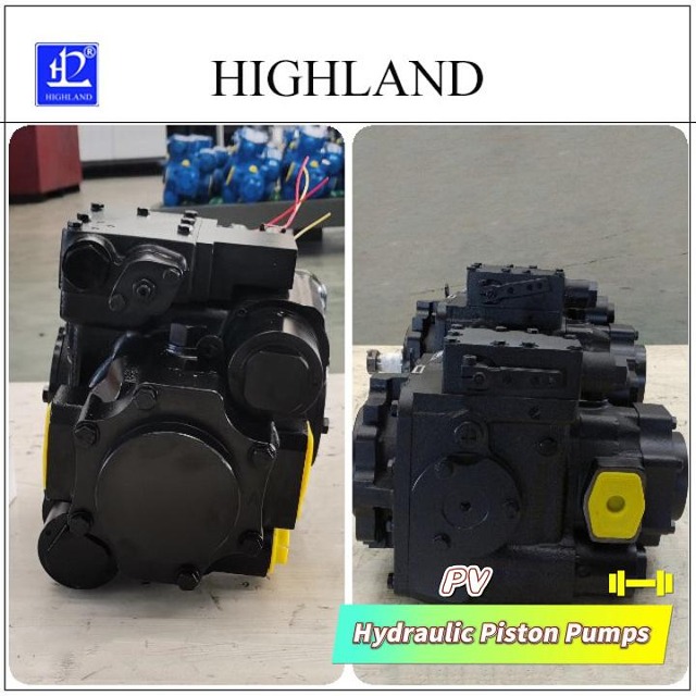 Forage harvester hydraulic pump